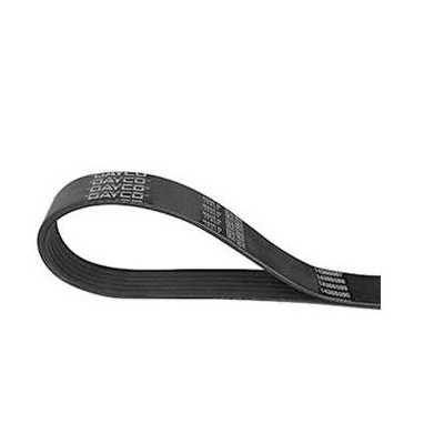Correia Gír./ DH - DAYCO 3PK700
