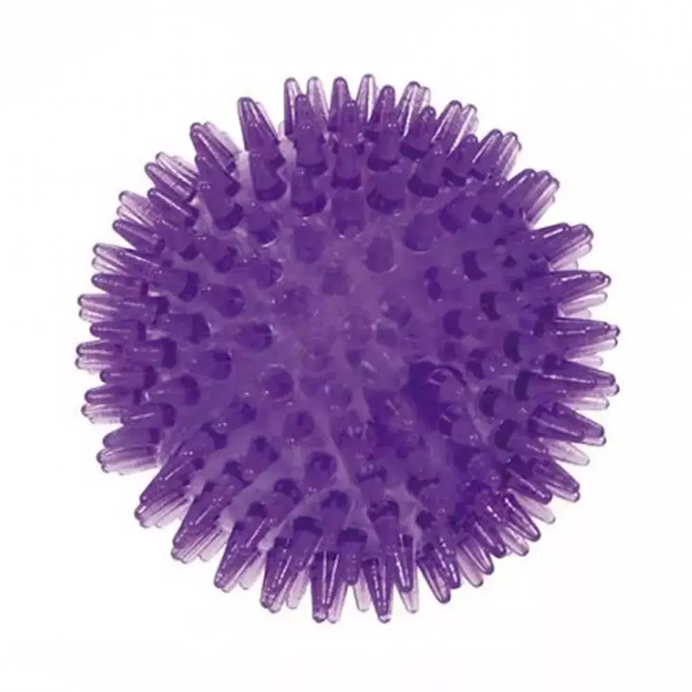 Bolinha de Pontas Pequena Várias Cores Jambo Grande Lilás