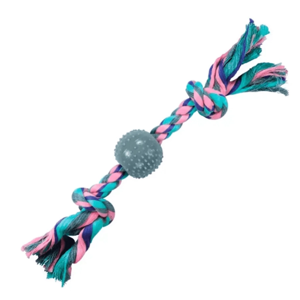 Corda Dental Plastic Bola Pastel