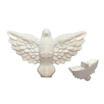 Enf Plast Divino Espirito Santo C 10 Cp0