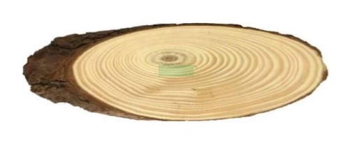 Enfeite Dec Tronco Oval Med Unit Ot 0081ucc Art Lille
