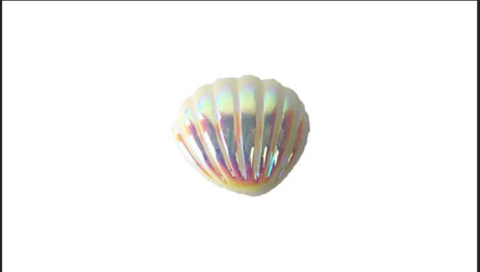 Enfeite Dec Concha C/10 Ref.ac 0139pbra