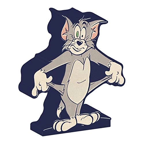 COFRE CERAMICA HB TOM AND JERRY POOR CAT COLORIDO 12,5 X 5 X