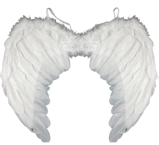 Asa De Anjo Com Pena Branca