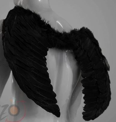 Asa De Anjo 45x60 Branco Ref.mod 306