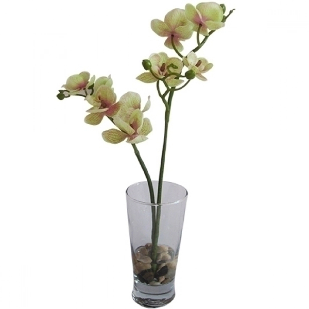 Planta Decorativa Craw 30cm Vaso Vidro Xh0007