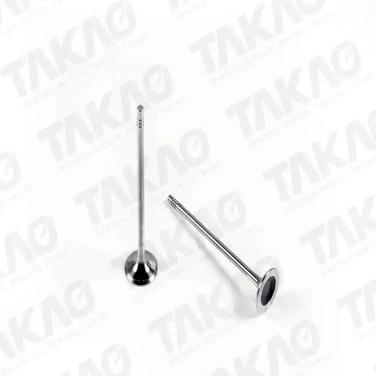 Válvula de Escape do Motor - TAKAO VESPG16A