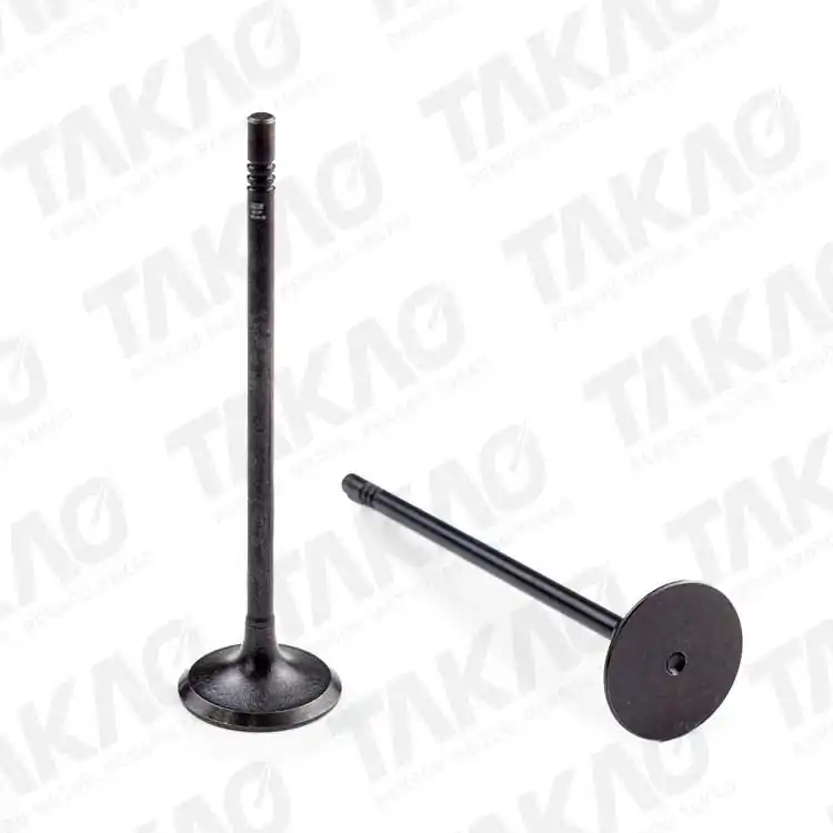 Válvula de Admissão - TAKAO VADVW10F