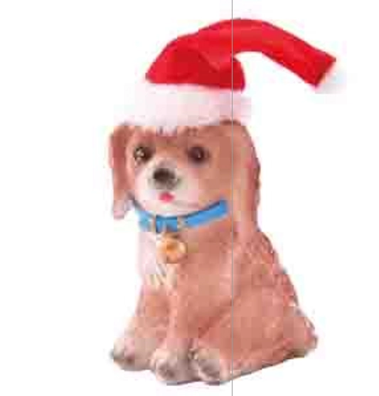 Decor Cachoro Gorro Sor 3 Cx