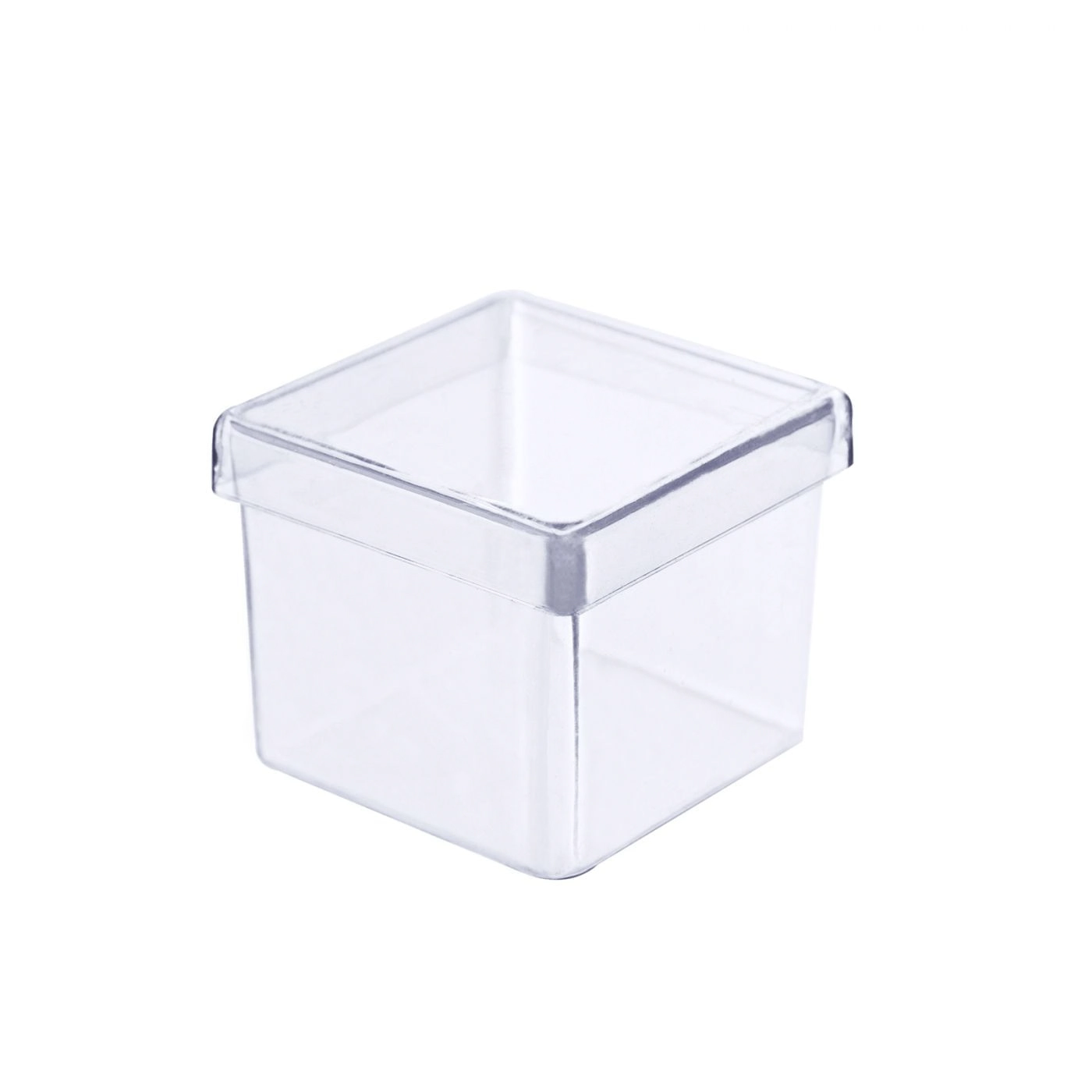 Lemb Cx Quad Plastqualy 05x05cm 10pc Transp 121240