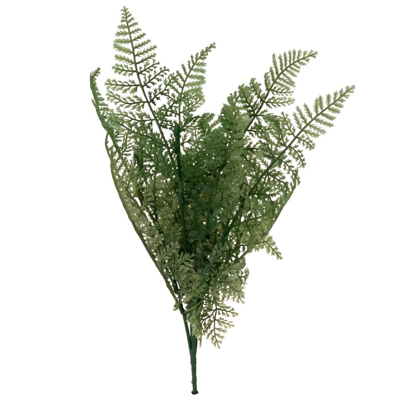 Buque Samambaia Cd 0045 Lily