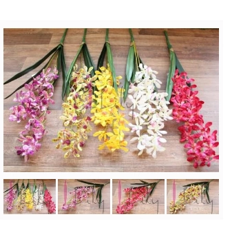 Galho Phalaenopsis Tetraspis X10 Dm 0016 Lily Design