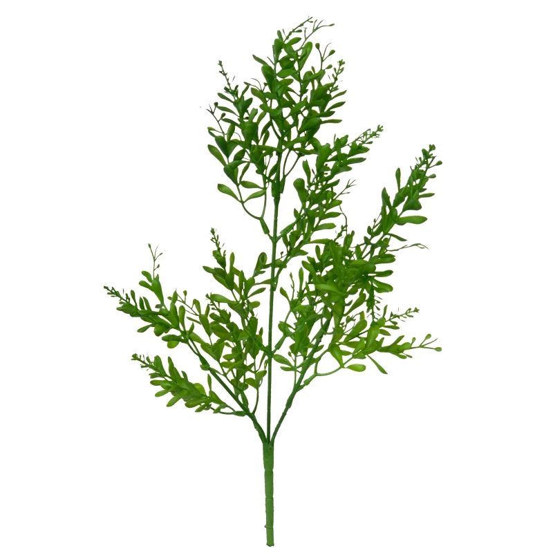 Buque Folha Amendoim Verde Claro Ck 0023vc Lily