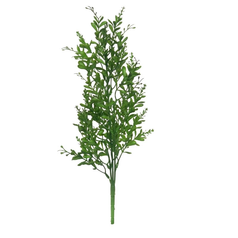 Buque Folha Amendoim Verde Escuro Ck 0023ve Lily