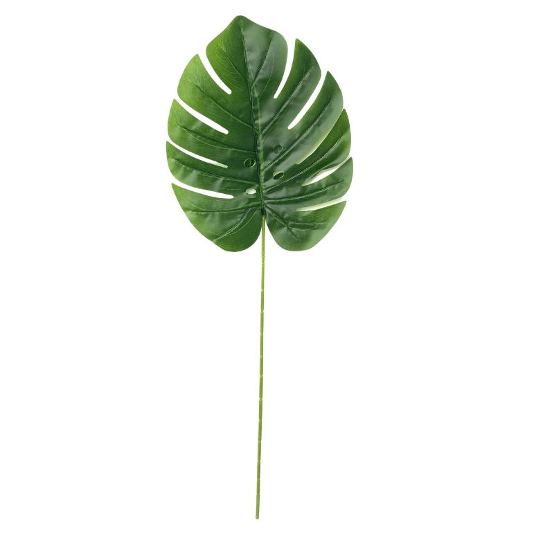 Galho Costela Adao P Ej 0043p Lily