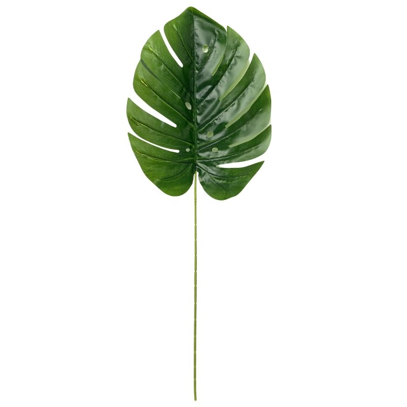 Galho Costela Adao G Ej 0043g Lily