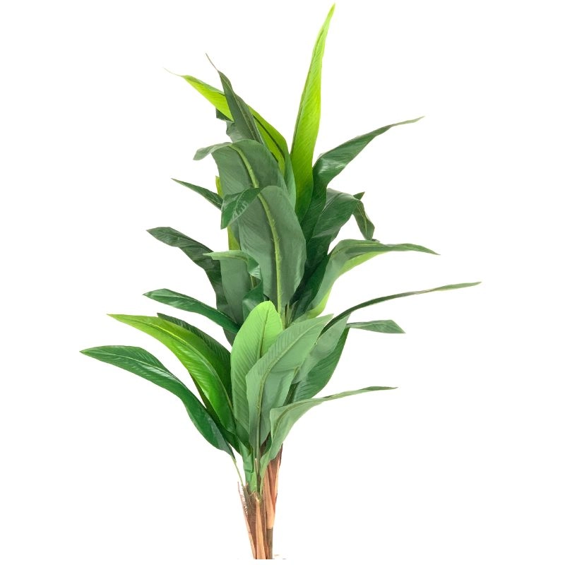 Arvore Folha Bananeira M Av 0003m Lily
