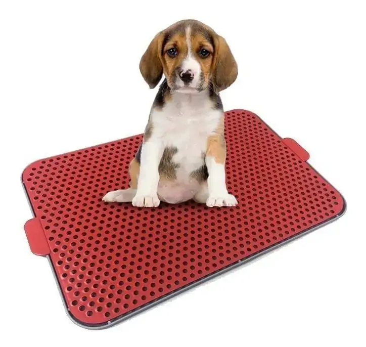 Pet Xixi Procanine Verme