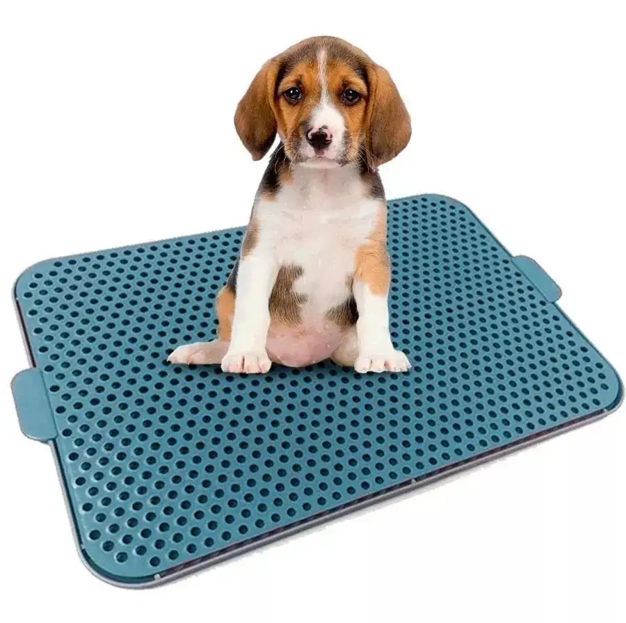 Pet Xixi Procanine Azul