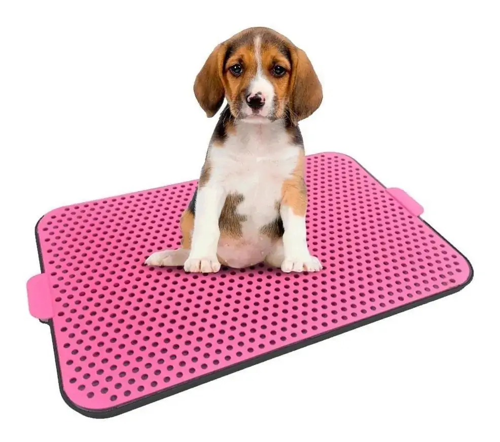 Pet Xixi Procanine Rosa Novo