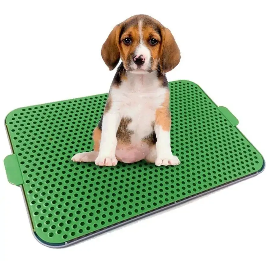 Pet Xixi Procanine Verde