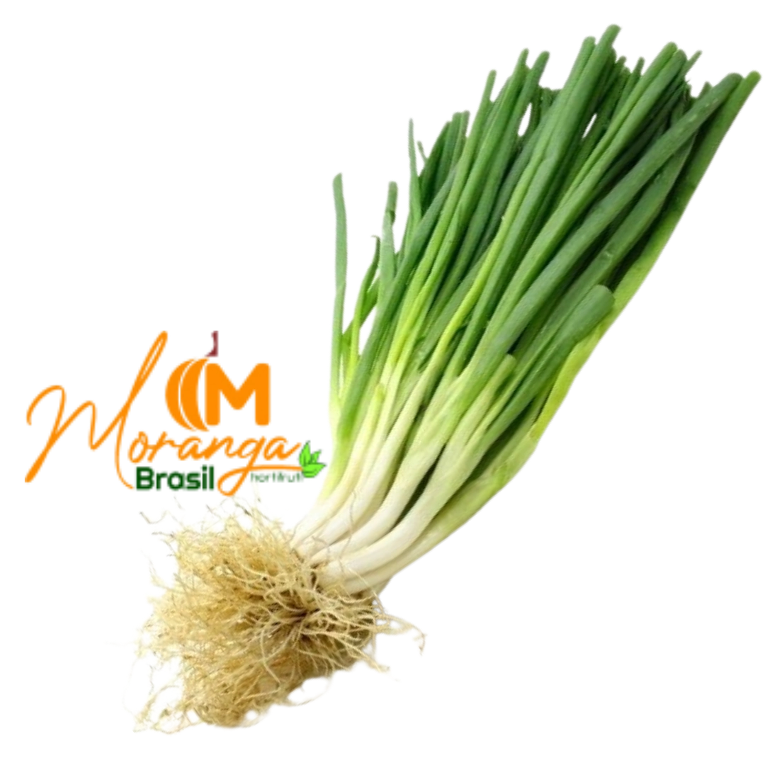 Cebolinha Un