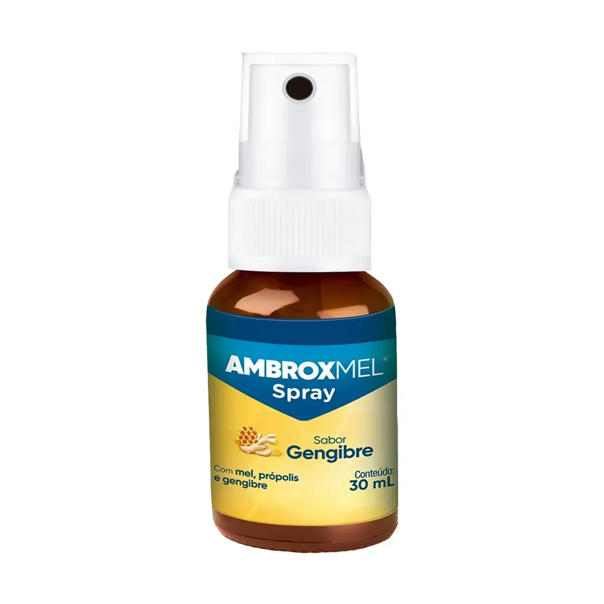 Ambroxmel Gengibre Cimed Caixa 12 Unidades 30ml Cada Spray Bucal