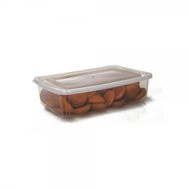 Caixa Plastico Erca Retangular Tampa Hermetica 2,8l