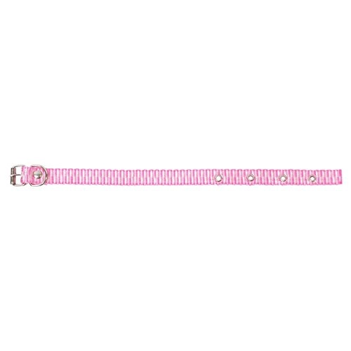 Coleira Loopy Fina 1m 10mm