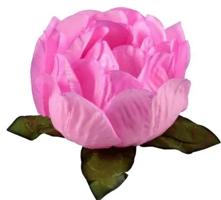 Forma.bela.rs.30un