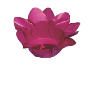Form Lirio Pink 10044 C/40 Decora Doces