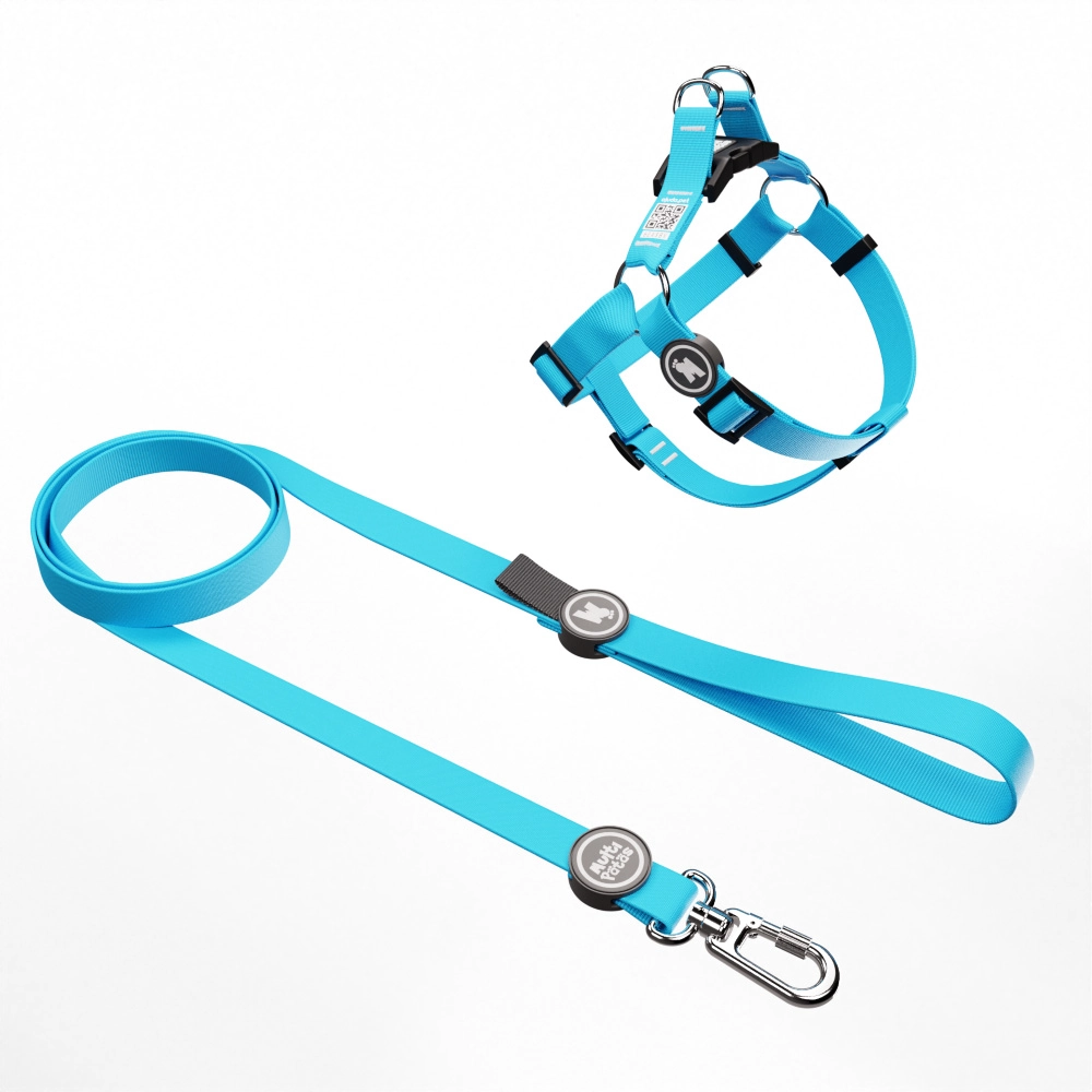 Kit Peitoral 8 E Guia Premium Classic Azul G