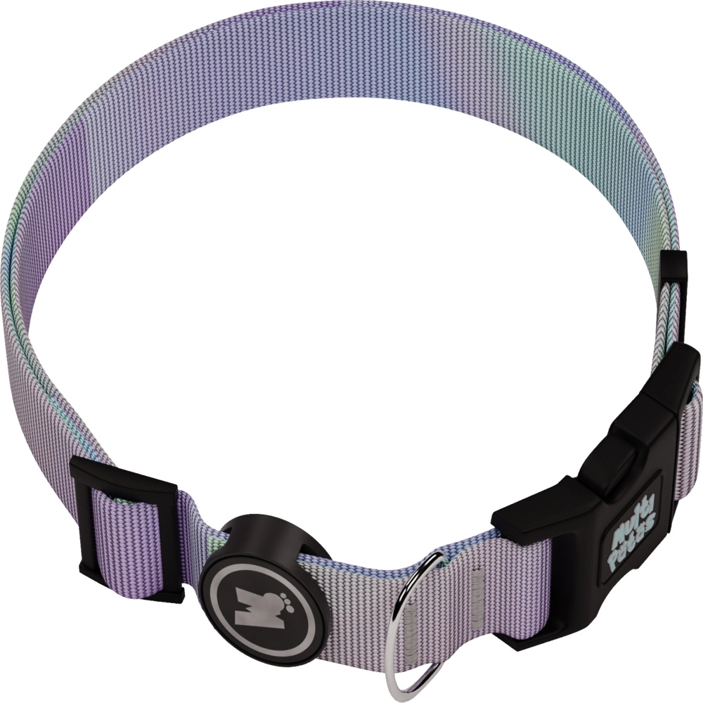 Coleira Para Cachorro Premium Purple Sky G