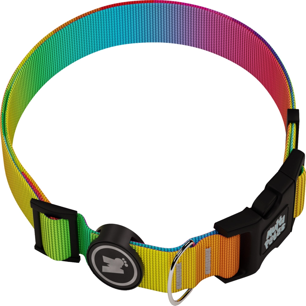 Coleira Premium Rainbow M