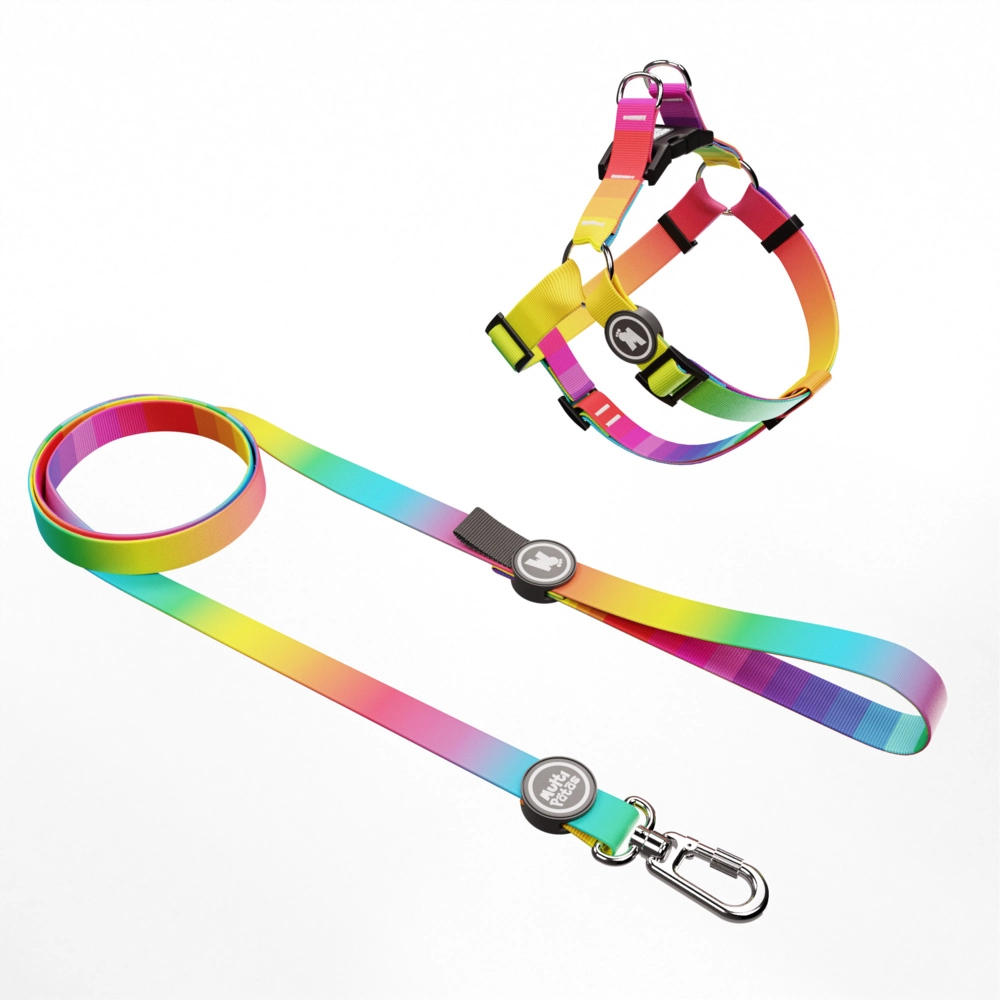 Kit Peitoral 8 E Guia Premium Raibow P