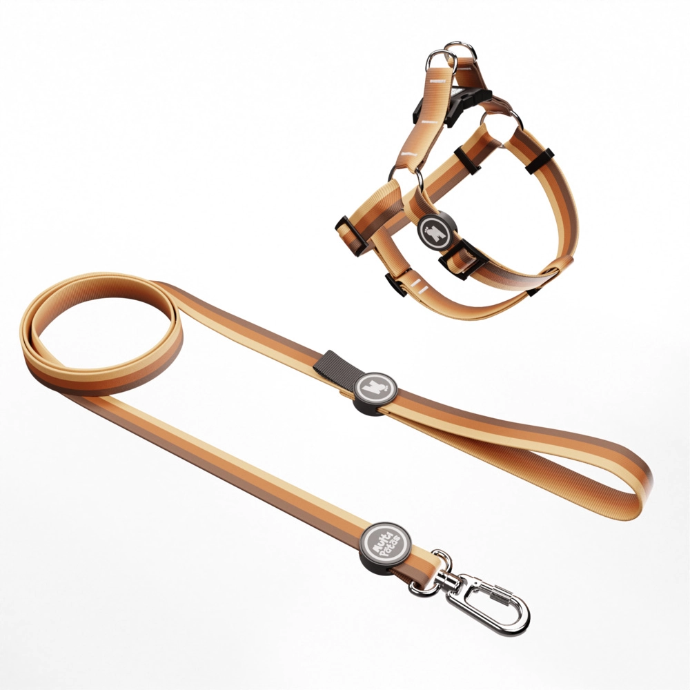 Kit Peitoral 8 E Guia Premium Terra G