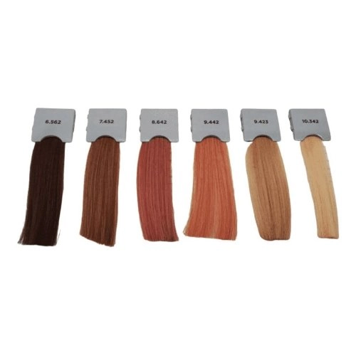 Tinta Evolution Of The Col Leonardo 60ml 9.442