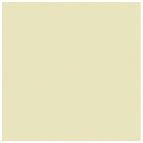 Porcelanato Monocolor Bege Acetinado Borda Reta Interno 58x58cm Project Nude Pamesa