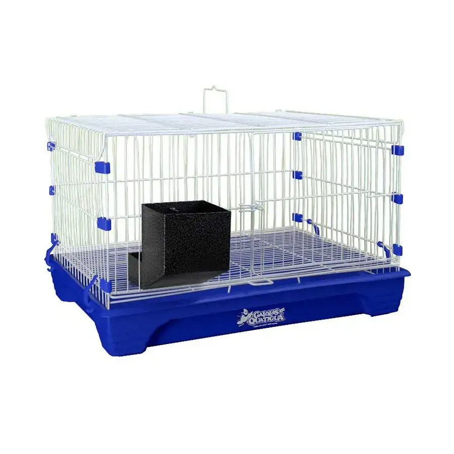 Pet Gaiola Grande Para Coelha Azul Quatigã Un