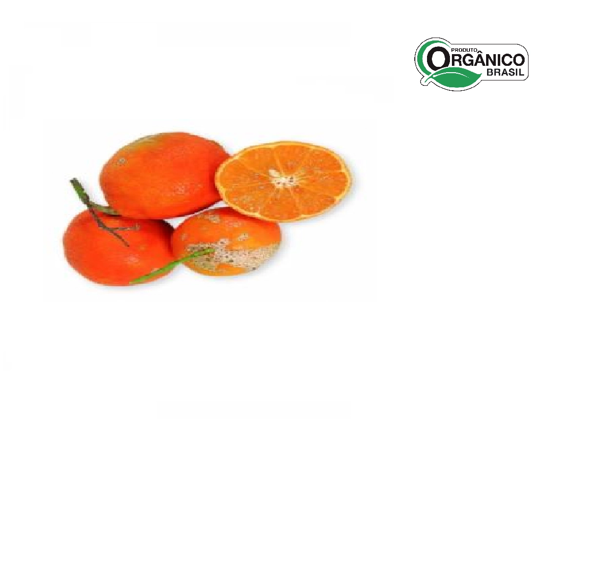 Limao Cravo Organico Abc 600gr
