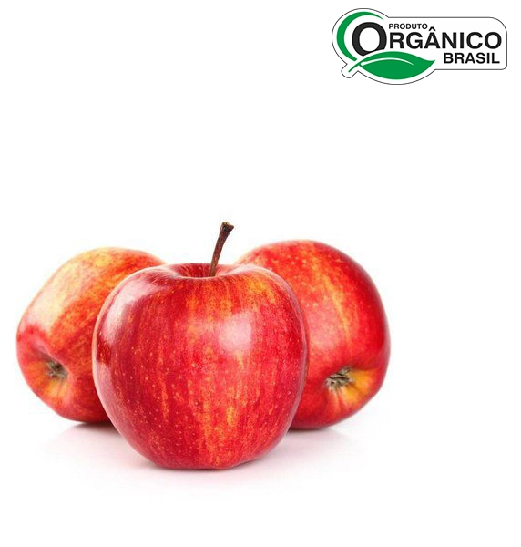 Org Maca Gala Org Abc 600gr