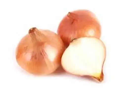 Cebola Organica Org Abc 600g