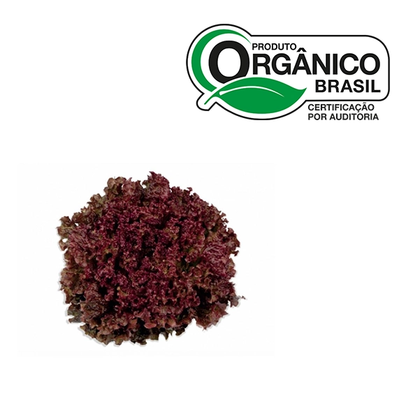 Sac Alface Crespa Roxa X Org Abc Un