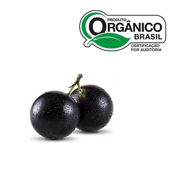 Jabuticaba Organica Abc 500g