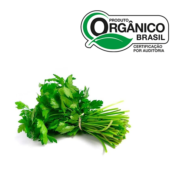 Cheiro Verde Org Abc Xtend 60 G