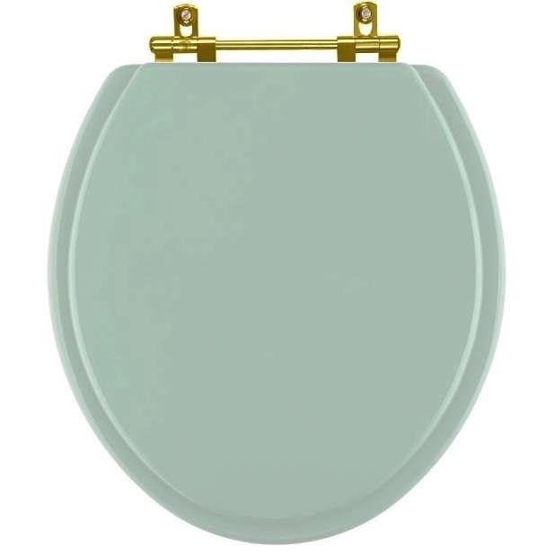 Assento Sanitário Convencional Oval Universal Verde Água Com Ferragem Dourada