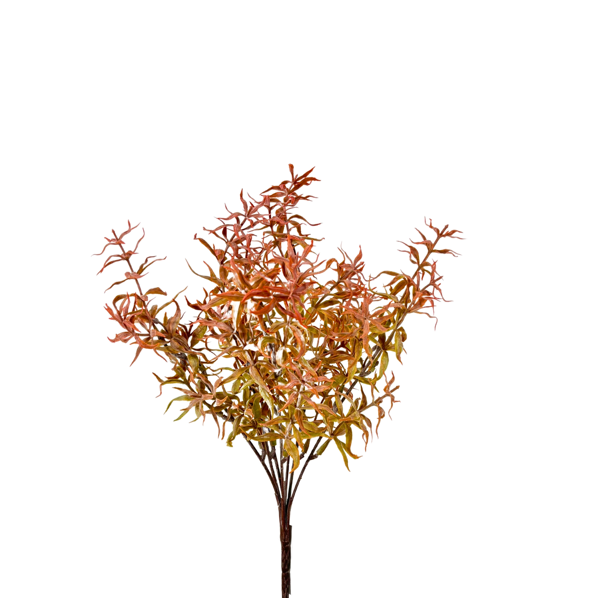 Buque Dinheirinho X7 Vermelho 35cm 42414vm Bela Flor