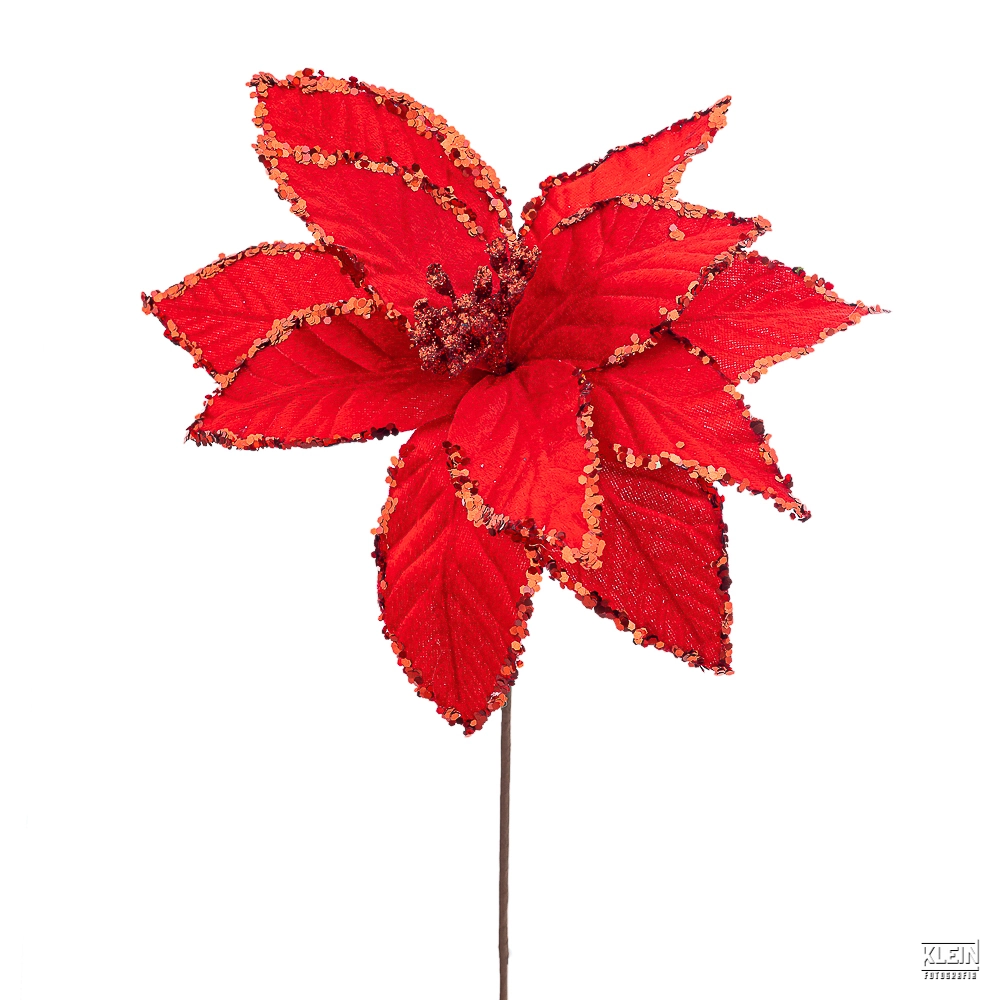 Haste Poinsettia Decor 34857 Bela Flor
