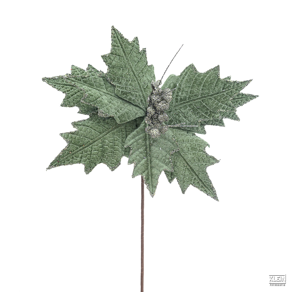 Haste Poinsettia 45cm 91259 Bela Flor