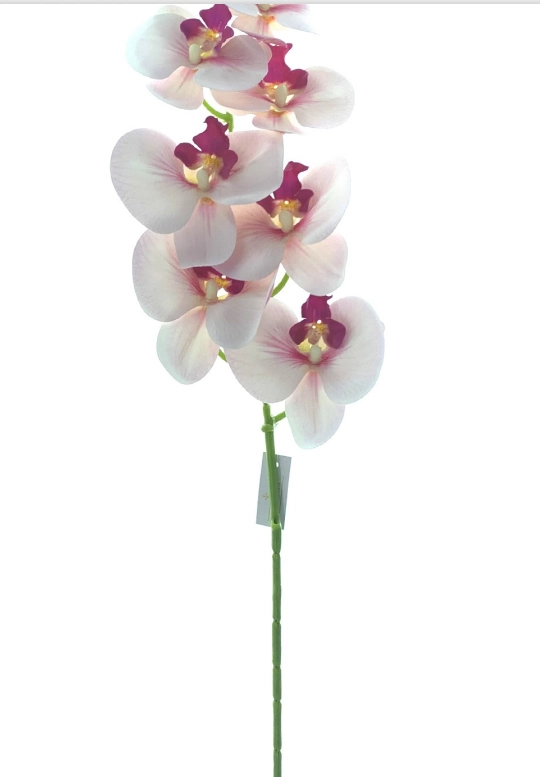 Haste Orquidea Phalaenopsis X9 97cm 40118rs Bela Flor